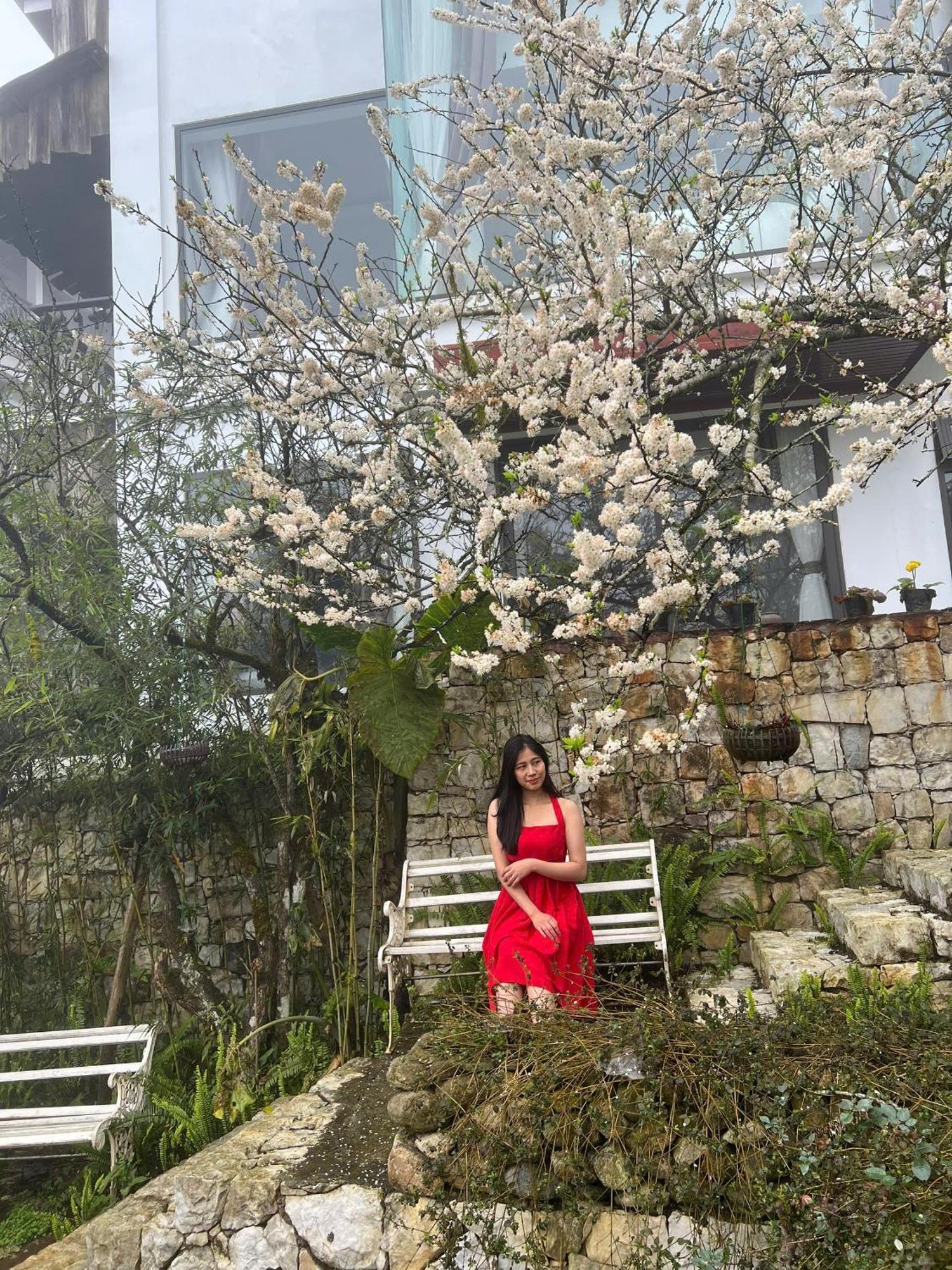 Green Villa Sapa المظهر الخارجي الصورة