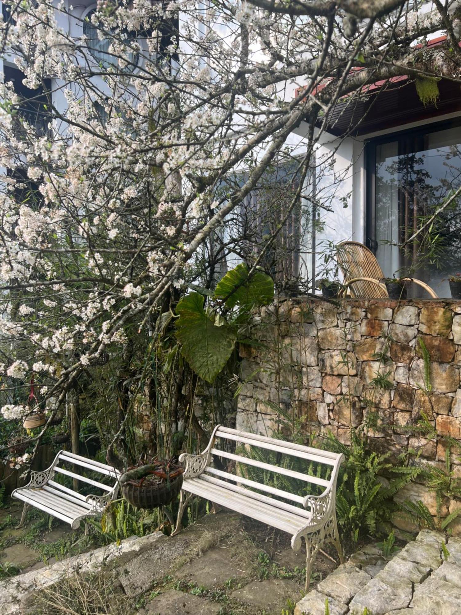 Green Villa Sapa المظهر الخارجي الصورة